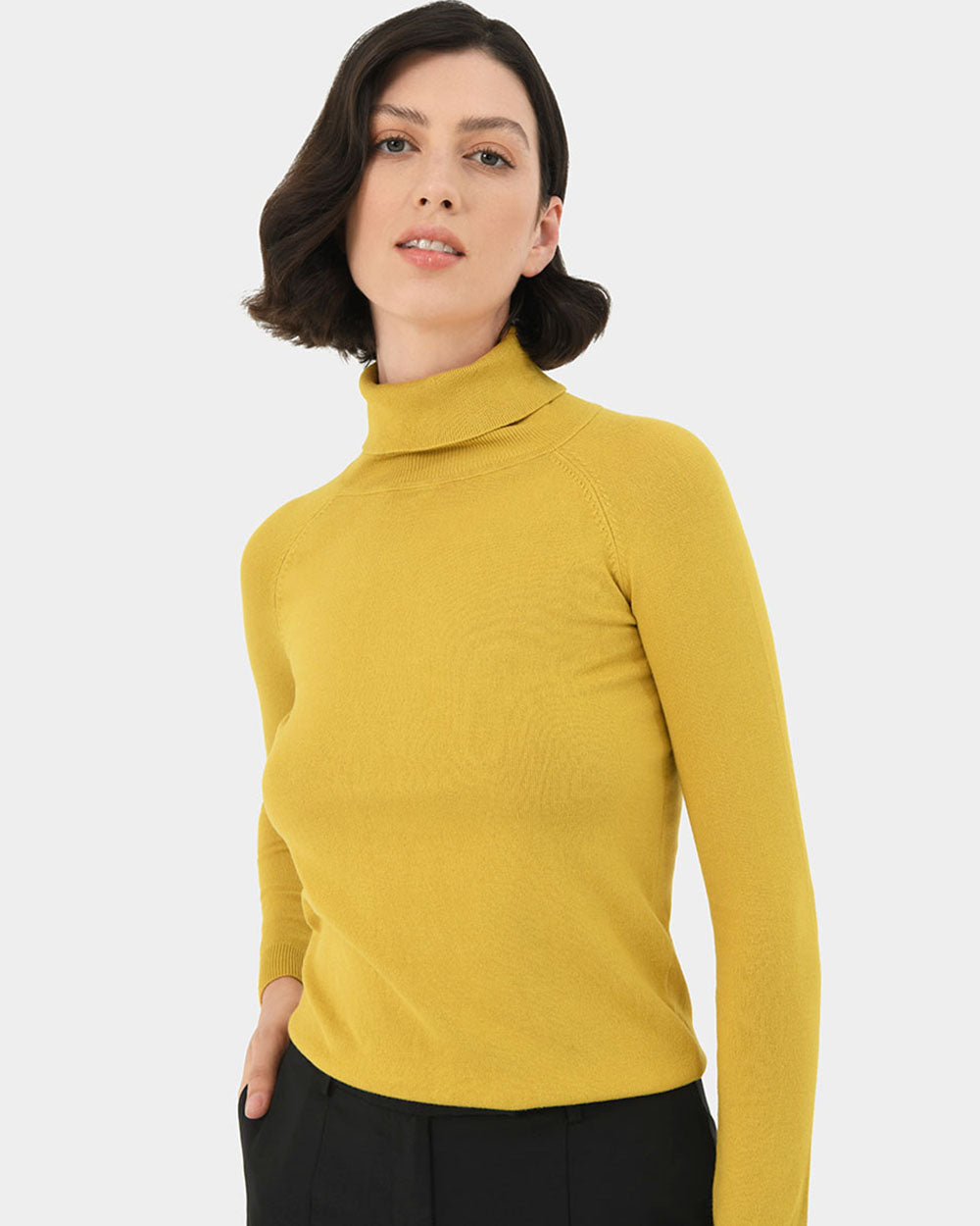 Clarisse Turtleneck Sweater